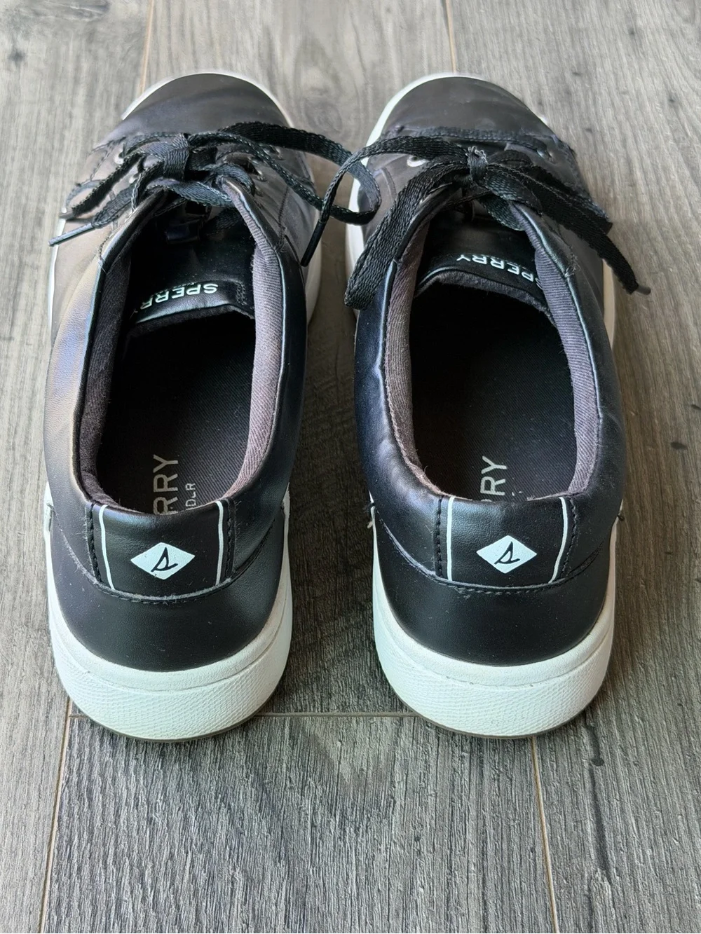 Modern Sperry Topsider Charter Lace Up Memory Foam Sneaker-9.